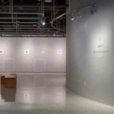 The Art of Minerology by Tama Higuchi