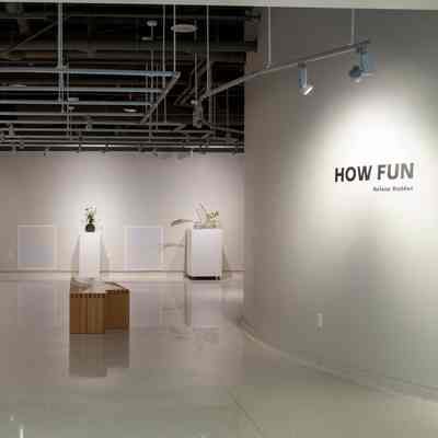 How Fun by Helena Haddox