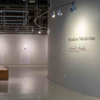 Modern Medicine by Michelle Priddy