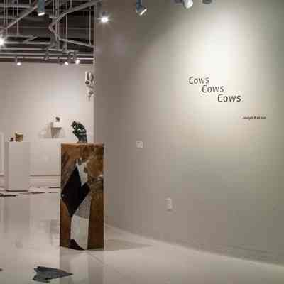 Cows Cows Cows by Jaelyn Kotzur