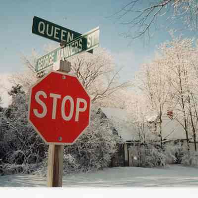 Photo of Ice storm in Bond Head - 1995