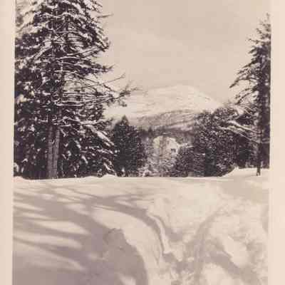 Photograph, Black-and-White