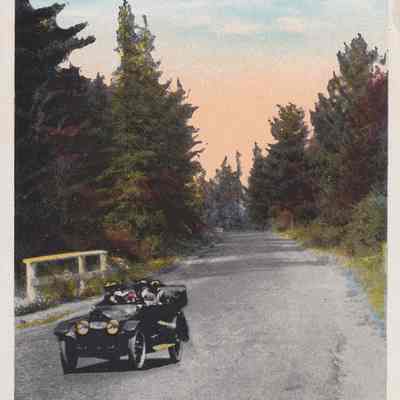 State Road to Lake Placid from Ray Brook, Adirondacks, N. Y.