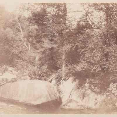 Bartlett Carry Club, Rapids