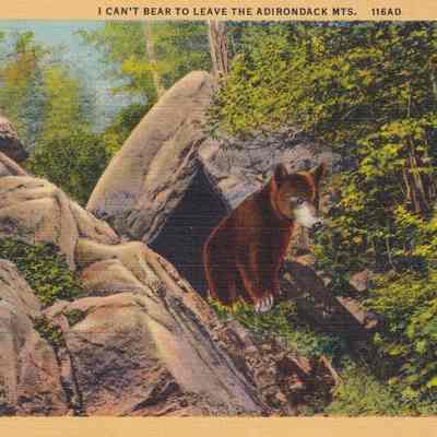 I Can't Bear to Leave the Adirondacks