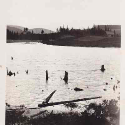 Photograph, Black-and-White
