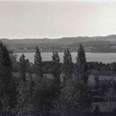 Negative, Sheet Film