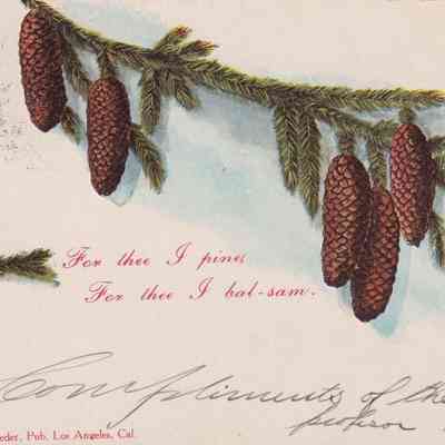 For thee I pine, For thee I bal-sam