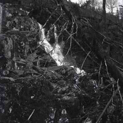 Negative, Sheet Film