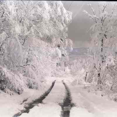 Negative, Sheet Film