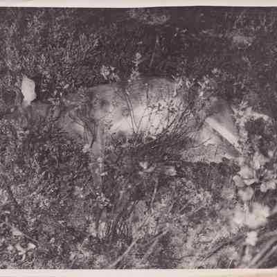 Photograph, Black-and-White
