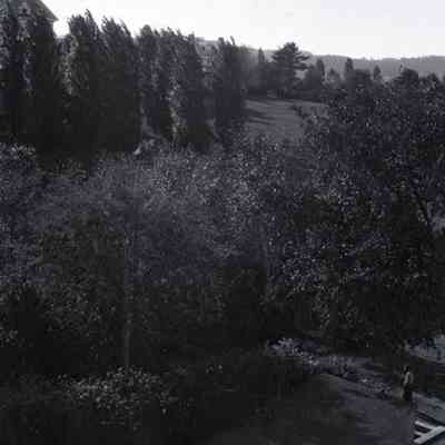 Negative, Sheet Film