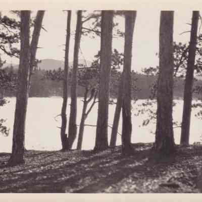 Photograph, Black-and-White