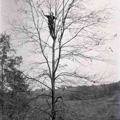 Negative, Sheet Film