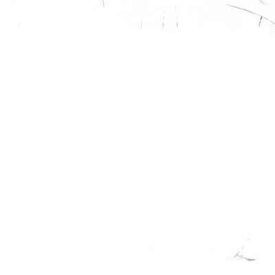 Negative, Sheet Film