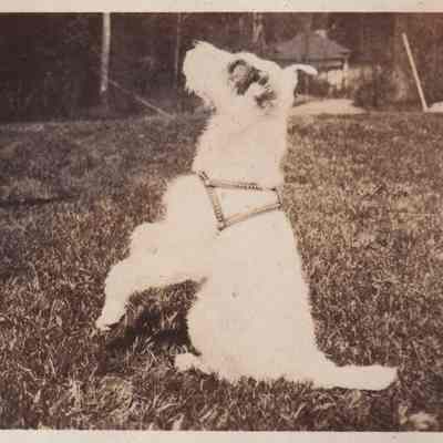Photograph, Black-and-White
