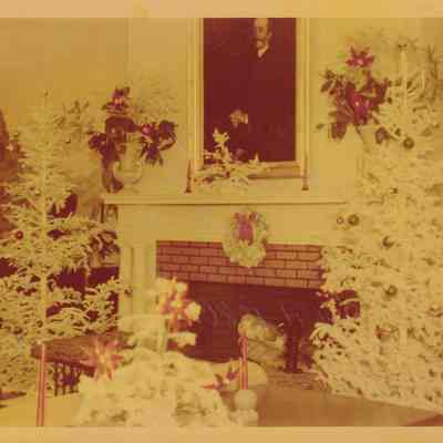 Photograph, Color