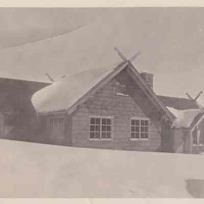 Bungalow