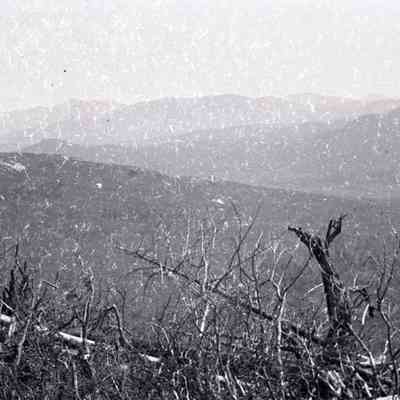 Negative, Sheet Film