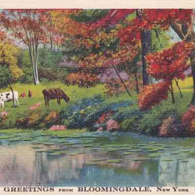 Greetings from Bloomingdale, New York.
