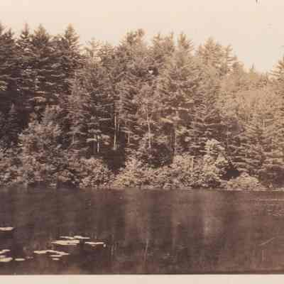 Photograph, Black-and-White
