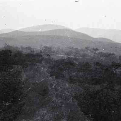 Negative, Sheet Film