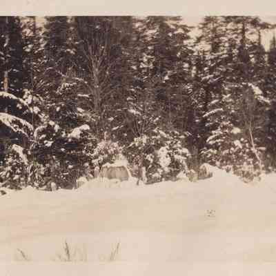 Photograph, Black-and-White