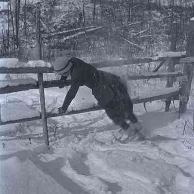 Negative, Sheet Film