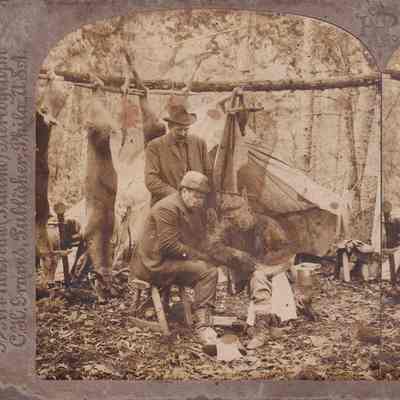 The Sprained Ankle, an Incident of Camp [life]