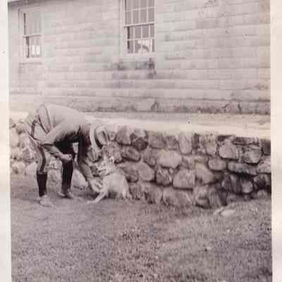 Wolf pup caught in town of Belmonth, Franklin County during summer 1934 when about 6 week old.