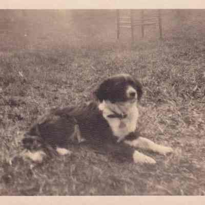 Photograph, Black-and-White