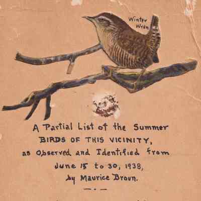 A Partial List of the Summer Birds of this Vicinity
