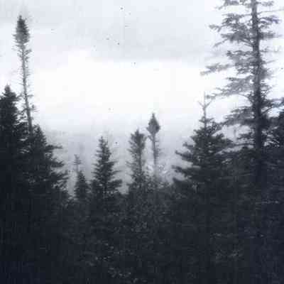 Negative, Sheet Film