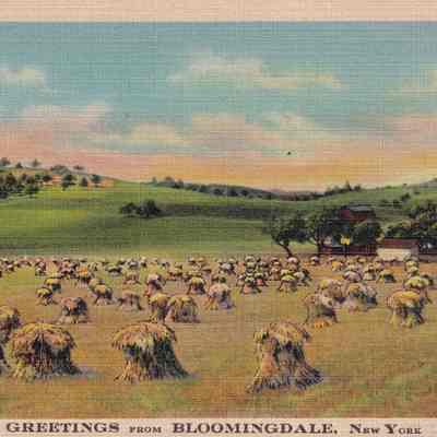 Greetings from Bloomingdale, New York.