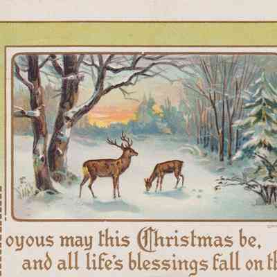 Postcard