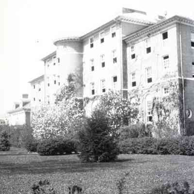 Negative, Sheet Film