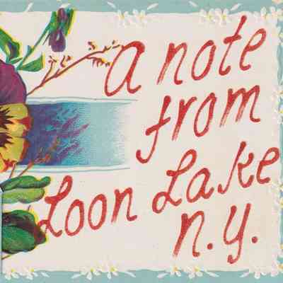A Note from Loon Lake N. Y.
