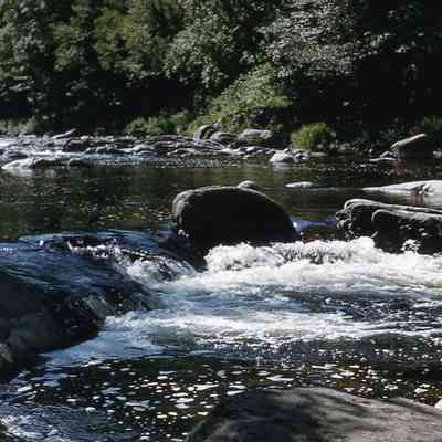 West Branch--Ausable River