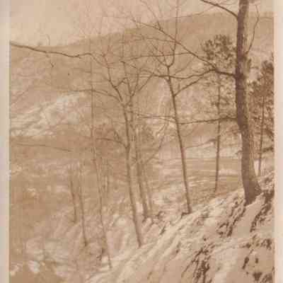 Chunes Cove in the Winter