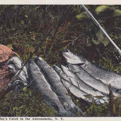 A Day's Catch in the Adirondacks, N. Y.