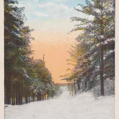 Winter Scene, State Road, Ray Brook, Adirondacks, N.Y.