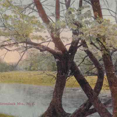 Autumn, Adirondack Mts., N. Y.