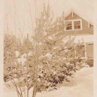 Photograph, Black-and-White