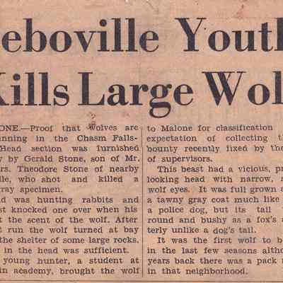 Teboville Youth Kills Large Wolf