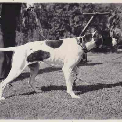 Photograph, Black-and-White