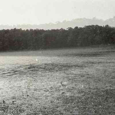 Negative, Sheet Film