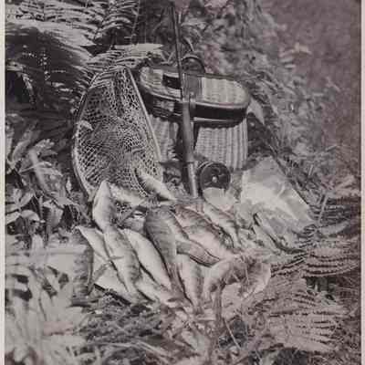 Photograph, Black-and-White