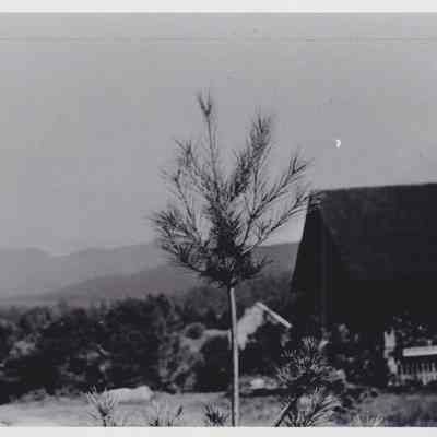 Photograph, Black-and-White