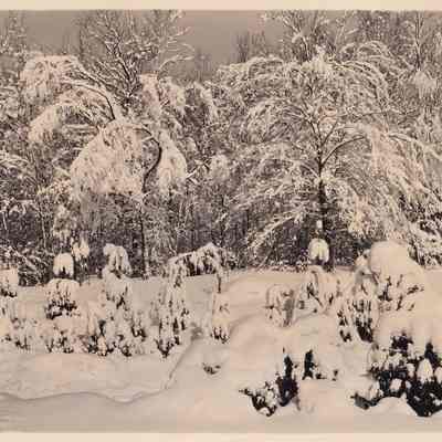 Photograph, Black-and-White