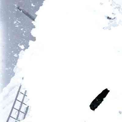 Negative, Sheet Film